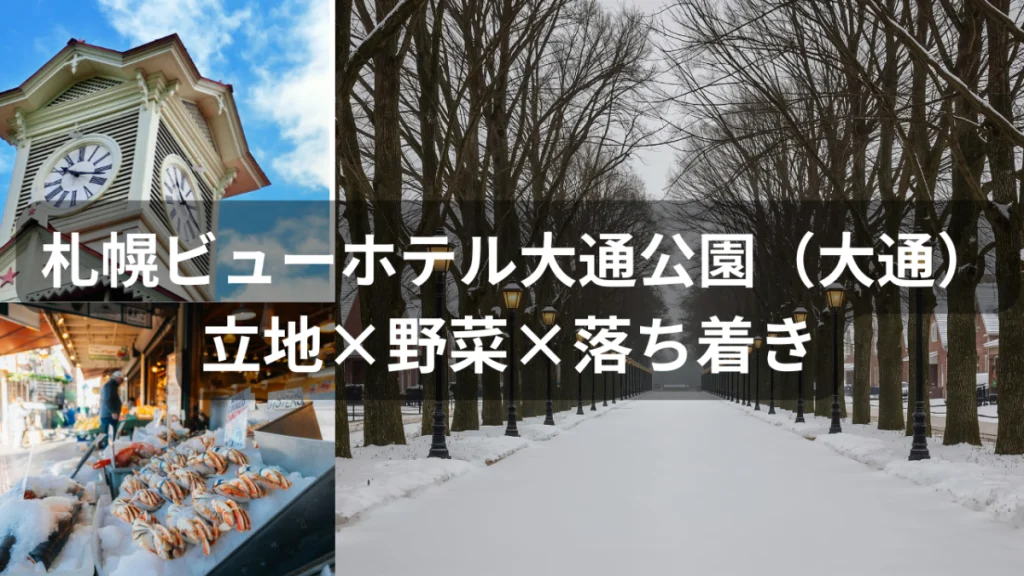雪に包まれた大通公園と札幌の街並み。朝の静けさの中で、落ち着いた滞在が叶う札幌ビューホテル大通公園のイメージ